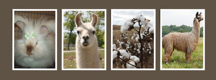 Yarn 101: Properties, Plies, and Construction