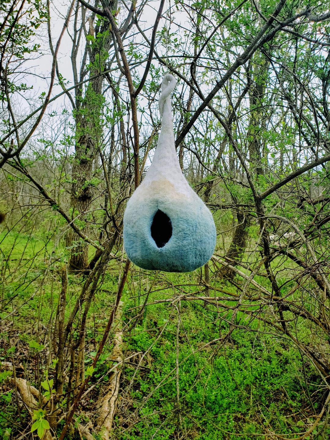 Felted Bird House with Mallory Zondag